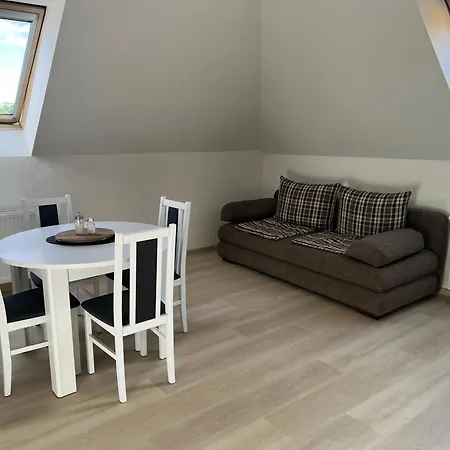 Podkrovni Apartman Se Spolecnym Bazenem Zlonice Exterior photo