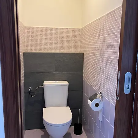 Podkrovni Apartman Se Spolecnym Bazenem Zlonice Exterior photo